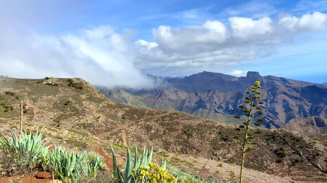 Beautiful view of Teno Alto volcanic landscape with Agave americana or Century plants growing wild in Tenerife,Canary Islands, Spain.Travel concept,4k