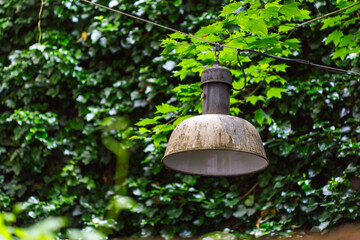 Vintage Aluminum Pendant Lamp with Green Background, Basel Street View