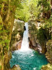 Naklejka premium 新緑に映える滝