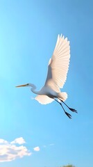 Obraz premium Great Egret Bird Flying in Nature Under Blue Sky, Photo Realistic, Pattern Background, Wallpaper, Cover and Screen for Smartphone, PC, Laptop, 9:16 and 16:9 Format