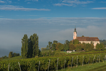 Pilgrimage church Birnau and vineyards on Lake Constance, Uhldingen-Muehlhofen, Baden-Wuerttemberg, Germany