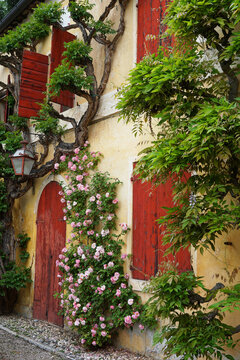 romantische historische Hauswand mit rosafarbenen Kletterrose, Rambler Rose unr roten Fenterladen