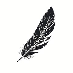 Black feather, minimalist and artistic illustration for t-shirt printing and nature-themed designs