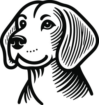 recommend clip art: line art beagle dog, Beagle line drawing, vector art, illustrations