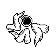 premium chicken wings illustration with sauce