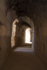 Obraz premium Jerash in jordan