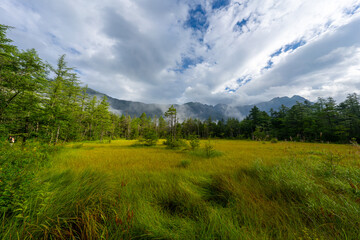 Obraz premium 上高地の風景