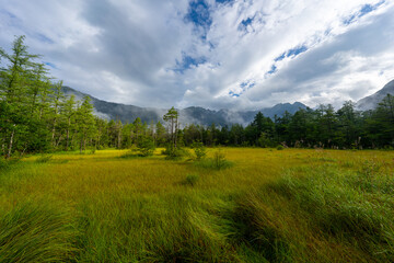 Fototapeta premium 上高地の風景