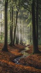 Obraz premium Tall trees and fallen leaves in serene forest, stream meanders under filtered light.
