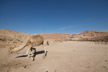 Petra, Jordan