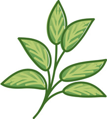 Illustration of sage leaves and flowers, symbolizing healing and wisdom.