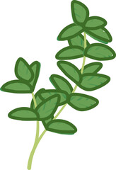 Illustration of fresh thyme sprig, symbolizing culinary herbs and natural flavor.