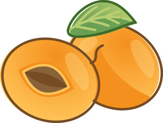 Illustration of whole and halved apricot with leaf, symbolizing freshness and nutrition.