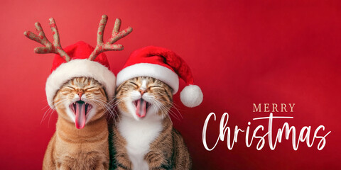 Merry Christmas concept holiday vacation winter greeting card with text - Cute santa claus two cats with santa hat and reindeer antlers, isolated on red background