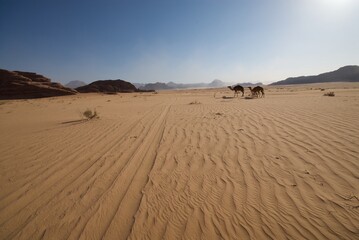Wadi Rum desert in Jordan.