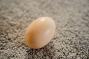Close-up of a Chicken Egg on Carpet Indoors