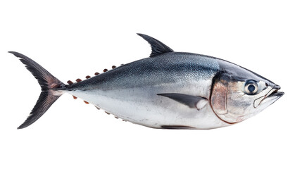 Naklejka premium Tuna fish isolated on white transparent