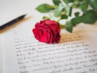 Eine rote Rose liegt auf einem Liebesbrief, im Hintergrund ist noch der Füller zu sehen