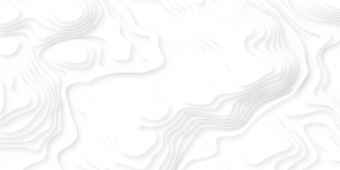Abstract wavy line 3d paper cut white background. Topographic canyon geometric map relief texture with curved layers and shadow.