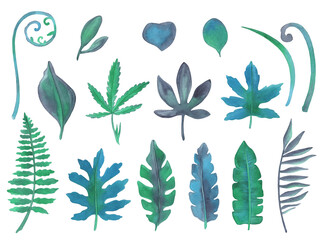 Watercolor Indigo Green Tropical Leaves Set on a white background.
