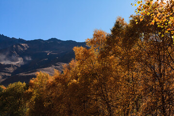 Fototapeta premium a panoramic view of autumn landscape with mountain hills surrounded by trees with yellow and red foliage at kazbegi stepantsminda in georgia near the foot of mount kazbek