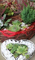 kranz aus rattan bepflanzt