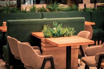 Stylishly decorated caf with plants on tables, creating a refreshing ambiance for diners.