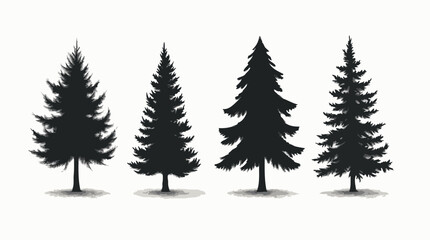 Obraz premium Schwarz-weiße Illustration von Tannenbäumen