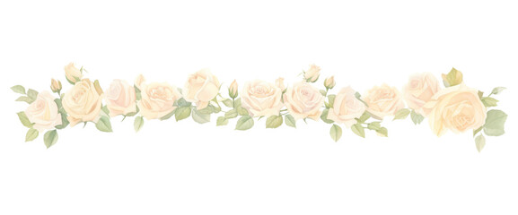 PNG White roses as line watercolour illustration pattern flower plant.
