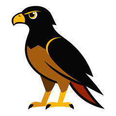 a full body hawk with white background