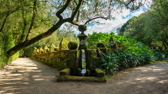 Beautiful streets surrounded by perfectly manicured vegetation in the gardens of the Pazo de Oca, Pontavedra.