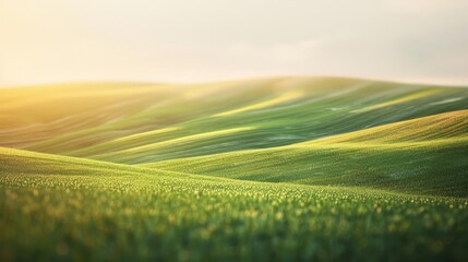 Obraz premium The sun rises over softly undulating green hills, casting a warm glow over the serene landscape, evoking a sense of peace and renewal.