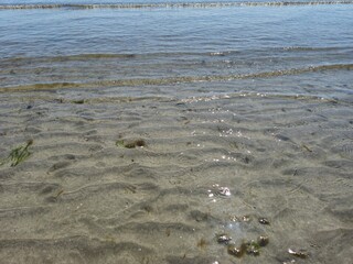 Summer Beach Scene: Waves And Sunlit Horizon