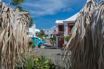 Picturesque old town historic building St. George city skyline cityscape with lush tropical...