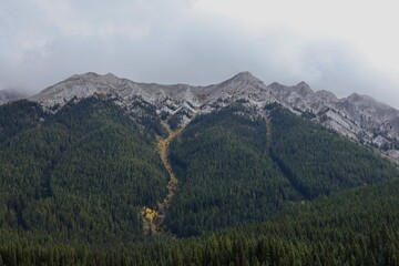 Rugged mountain peaks loom over dense evergreen forest. Dramatic ski run cuts through trees. Misty atmosphere adds mystery. Perfect blend of wilderness and adventure sports. 