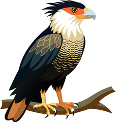 Obraz premium A vector illustration of a caracara eagle perched gracefully on a branch against a simple background