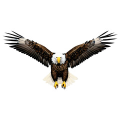 Obraz premium Flying Bald Eagle, Generative AI Clipart, Transparent Background