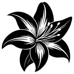 black and white flower