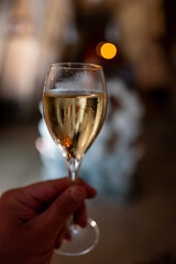 Tasting of brut and reserve grand cru champagne sparkling wine produced by traditional method in underground caves in Champagne, France, close up