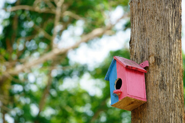 Charming Birdhouse in a Lush Green Forest Setting