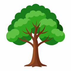 tree isolated on white