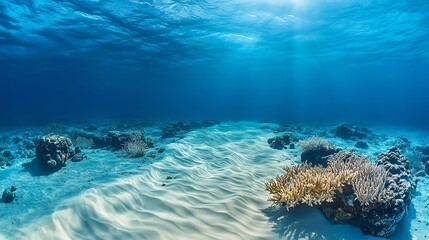 Obraz premium A powerful underwater current pulling sand and marine life along the ocean floor, ocean current power, underwater force