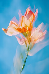 One single orange lily flower on a blurry blue background. Long exposure, selective focus, fantasy motion effect, motion blur. Vertical shot. Generative AI