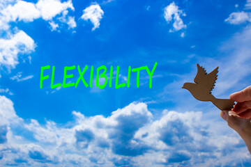 Flexibility symbol. Concept word Flexibility on beautiful blue sky. Beautiful blue sky and clouds...