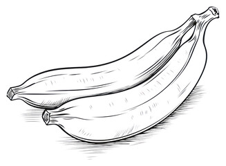 PNG Banana outline sketch food monochrome freshness.