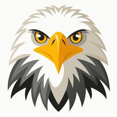 bald eagle head color vector illustration with white background
