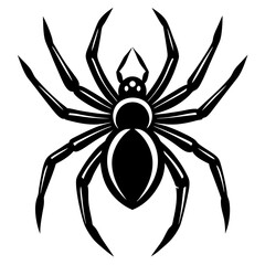 Obraz premium black spider isolated The spider silhouette vector illustration with white background