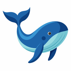 dolphin color  vector illustration with white background