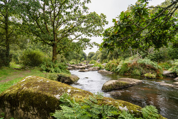 La rivière Ellez, parsemée de roches granitiques, s’illumine sous les teintes automnales. Un paysage naturel qui invite à la contemplation.