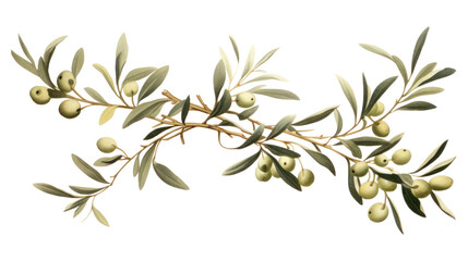 Naklejka premium PNG Tree branch plant olive.